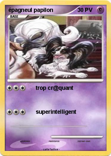 Pokemon épagneul papilon