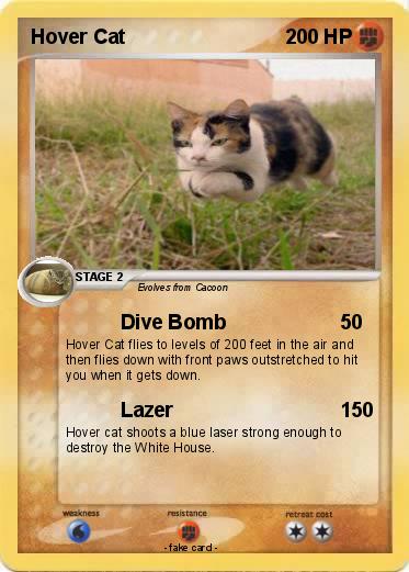 Pokemon Hover Cat