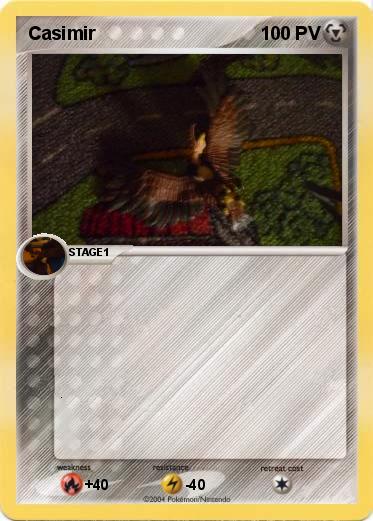 Pokemon Casimir