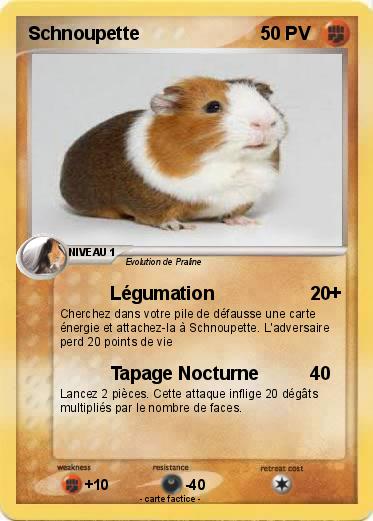 Pokemon Schnoupette