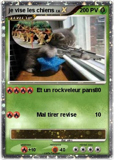 Pokemon je vise les chiens
