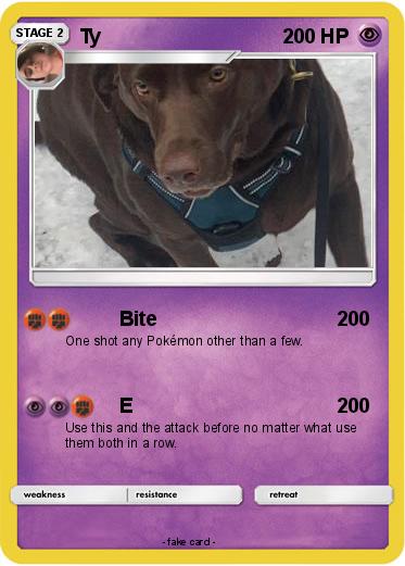 Pokemon Ty
