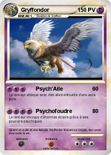 Pokemon Gryffondor