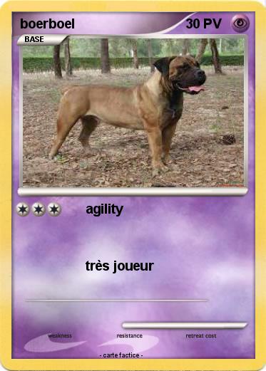 Pokemon boerboel