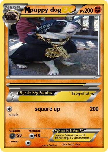 Pokemon puppy dog