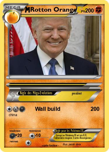 Pokemon Rotton Orange