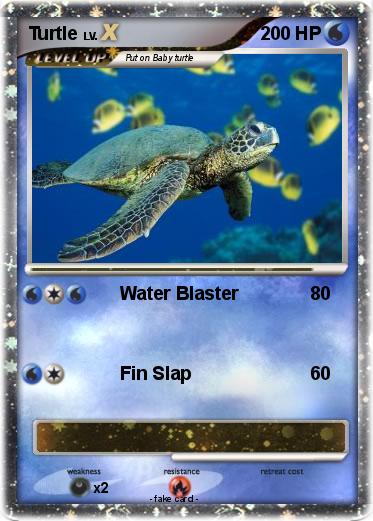 Pokemon Turtle