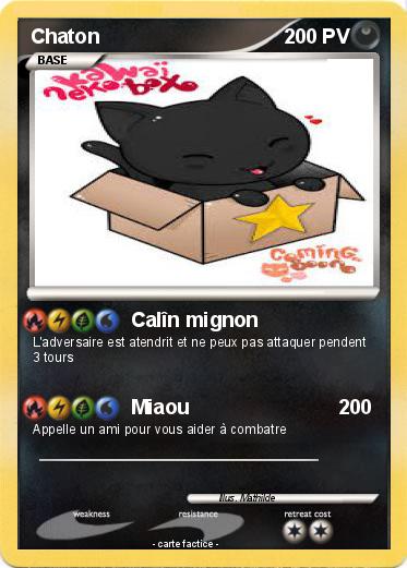 Pokemon Chaton