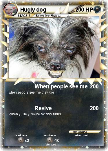 Pokemon Hugly dog