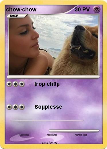 Pokemon chow-chow