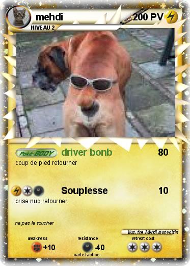 Pokemon mehdi