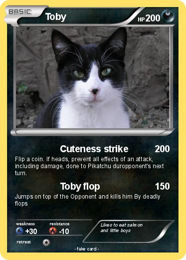 Pokemon Toby