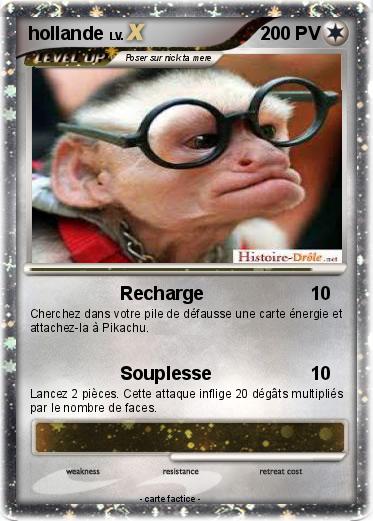 Pokemon hollande