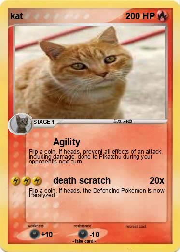 Pokemon kat