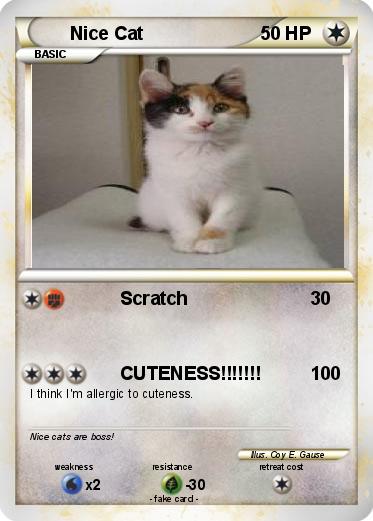 Pokemon Nice Cat