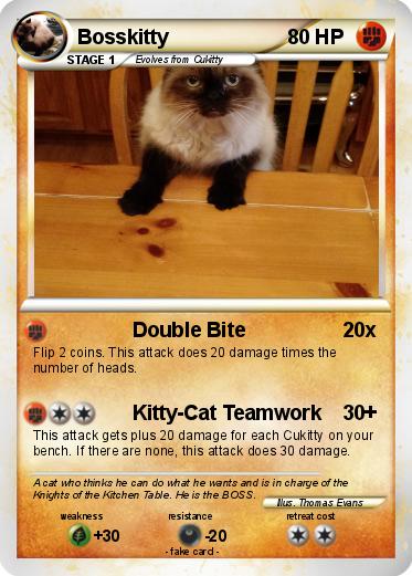 Pokemon Bosskitty