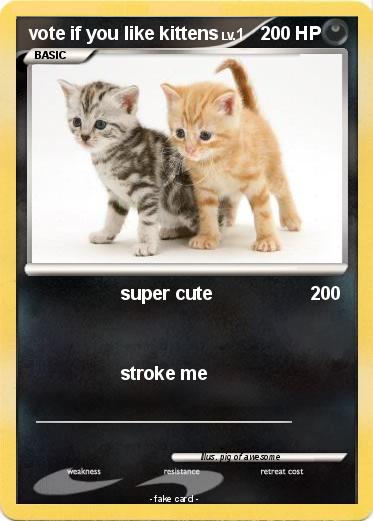 Pokemon vote if you like kittens