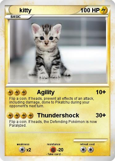 Pokemon kitty