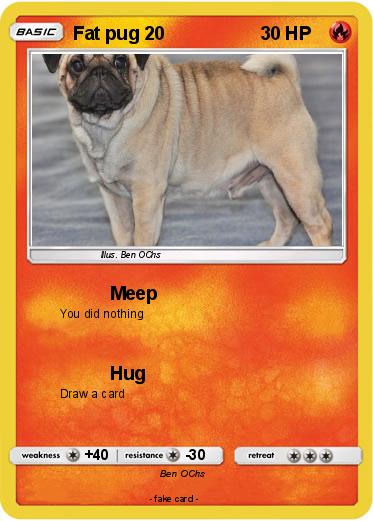 Pokemon Fat pug 20