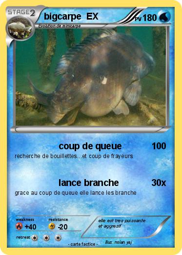 Pokemon bigcarpe  EX