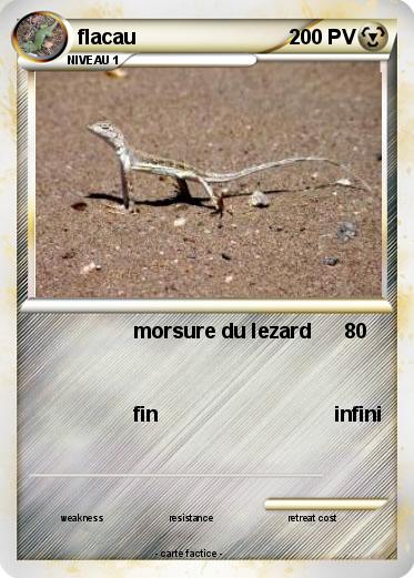 Pokemon flacau