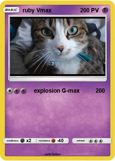 Pokemon ruby Vmax