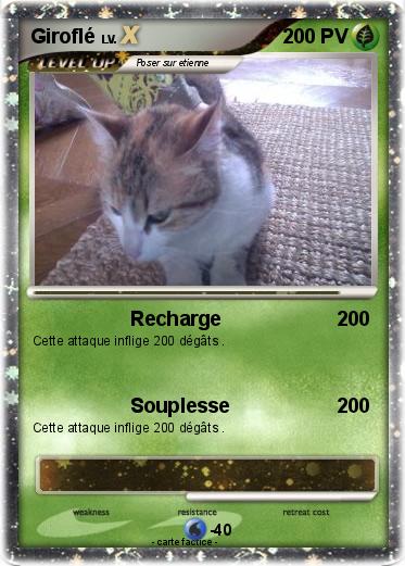 Pokemon Giroflé