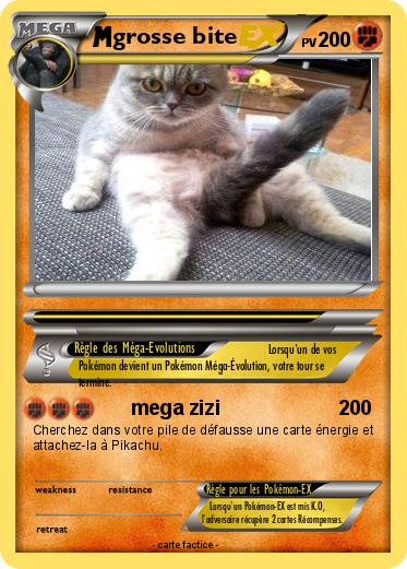 Pok mon Grosse Bite 65 65 Mega Zizi Ma Carte Pok mon