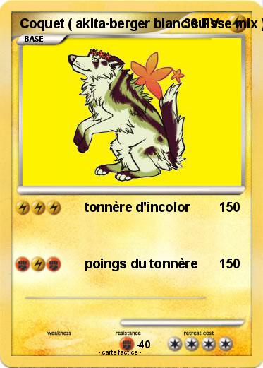 Pokemon Coquet ( akita-berger blanc suisse mix )
