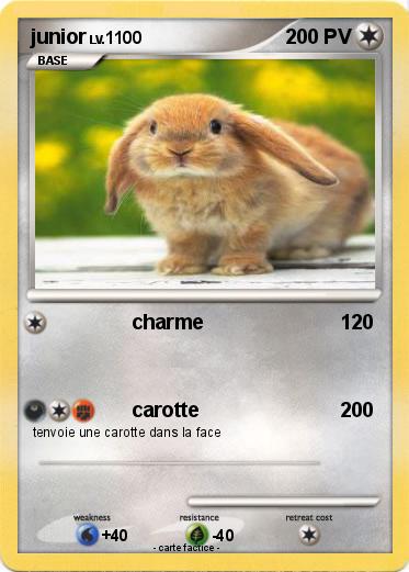 Pokemon junior