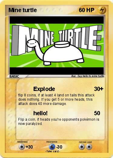Pokemon Mine turtle