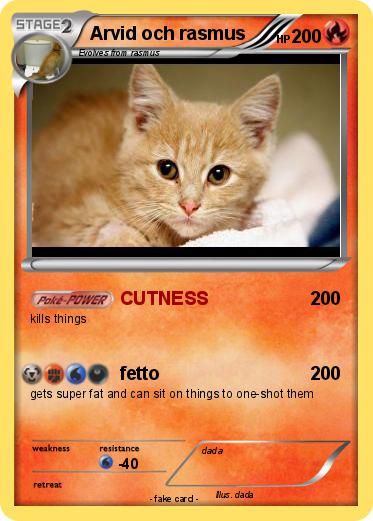 Pokemon Arvid och rasmus