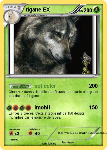Pokemon tigane EX