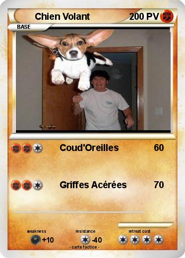 Pokemon Chien Volant