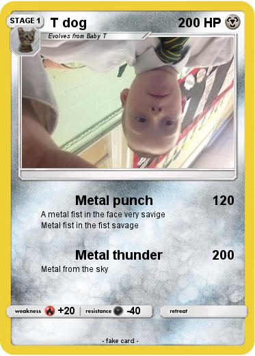 Pokemon T dog