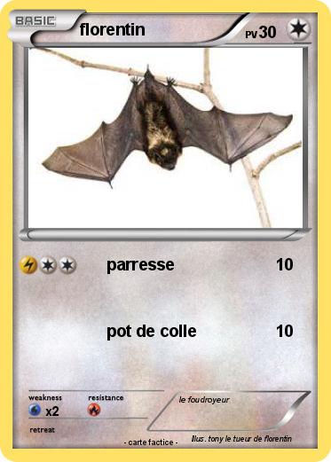 Pokemon florentin