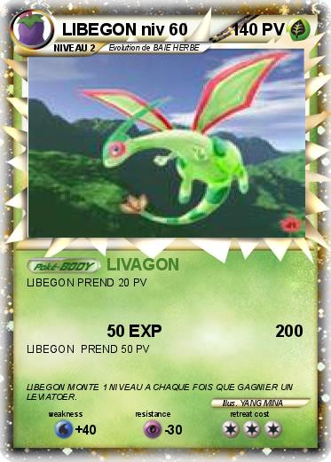 Pokemon LIBEGON niv 60