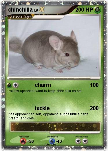 Pokemon chinchilla