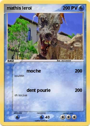 Pokemon mathis leroi