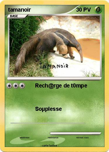 Pokemon tamanoir