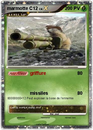 Pokemon marmotte C12