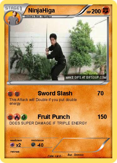 Pokemon NinjaHiga