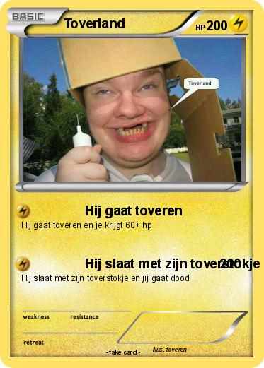 Pokemon Toverland