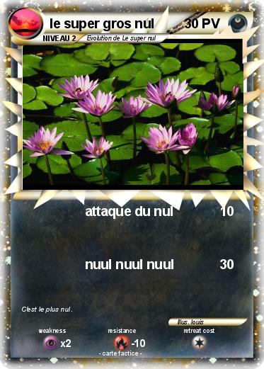 Pokemon le super gros nul
