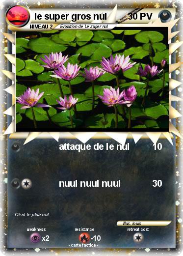 Pokemon le super gros nul