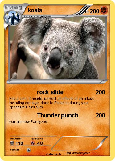 Pokemon koala