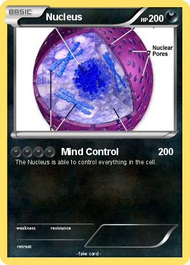 Pokemon Nucleus