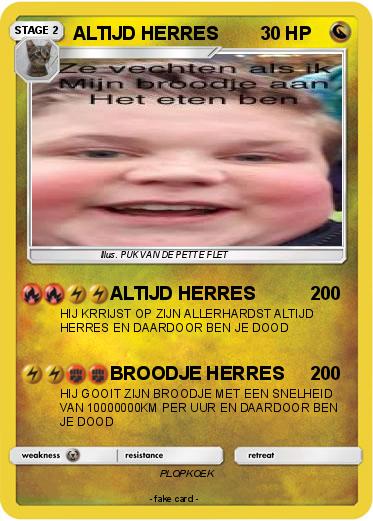 Pokemon ALTIJD HERRES