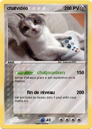 Pokemon chatvidéo