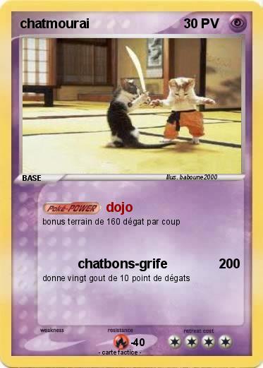 Pokemon chatmourai